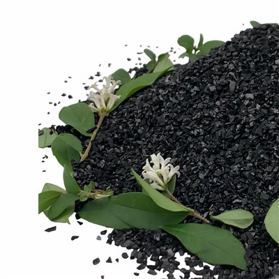 Industrial - activado - carbono